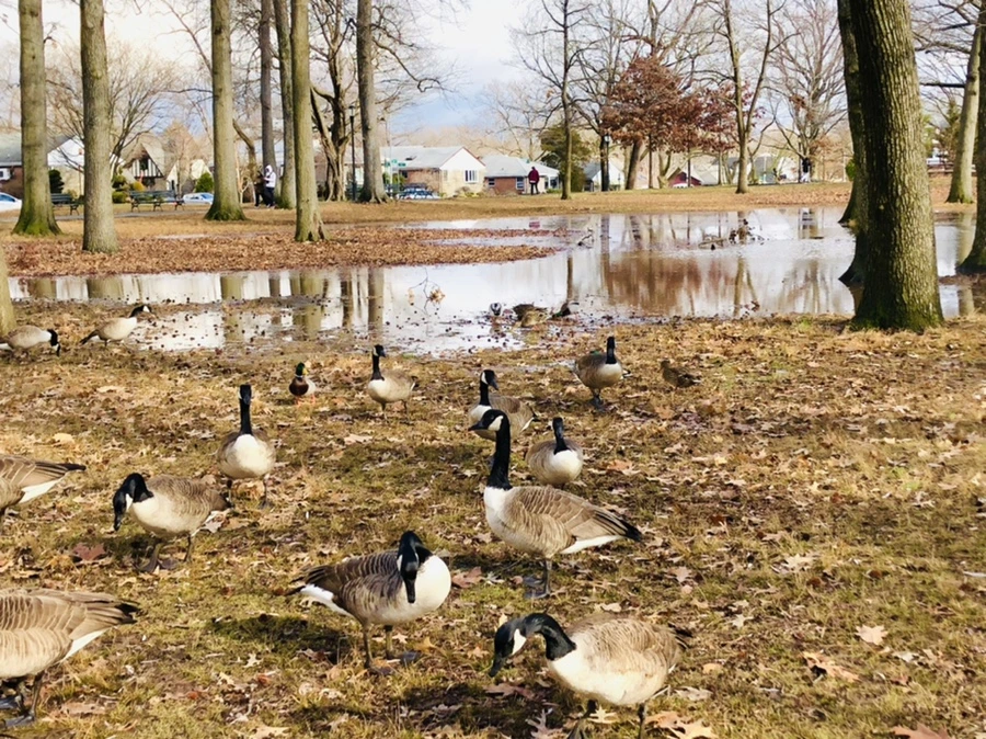 IMG_3555.jpg?type=w966