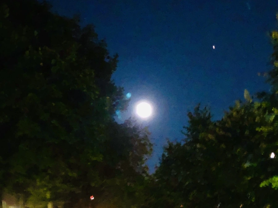 IMG_1346.jpg?type=w966