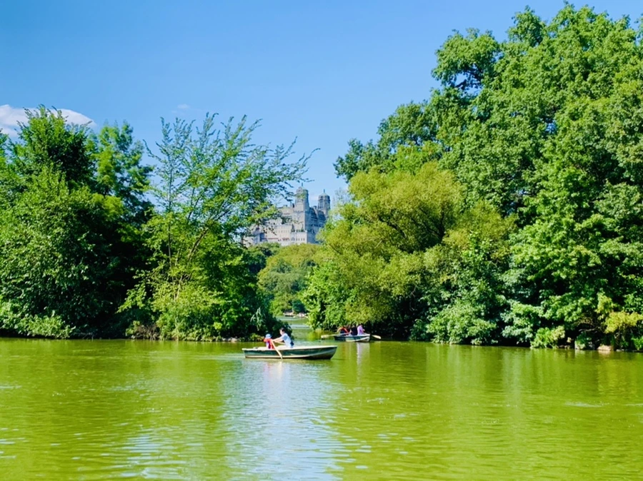 IMG_4483.jpg?type=w966