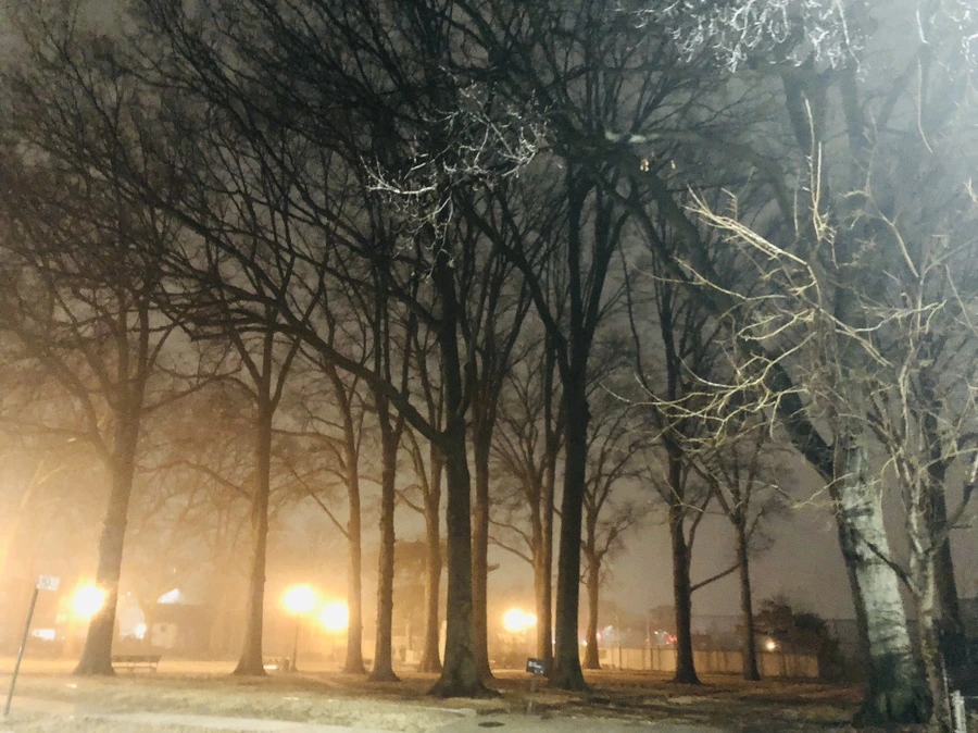 IMG_9322.jpg?type=w966