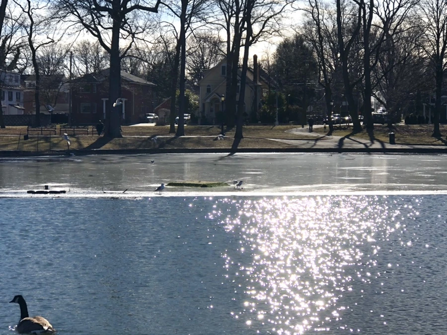 IMG_5392.jpg?type=w966