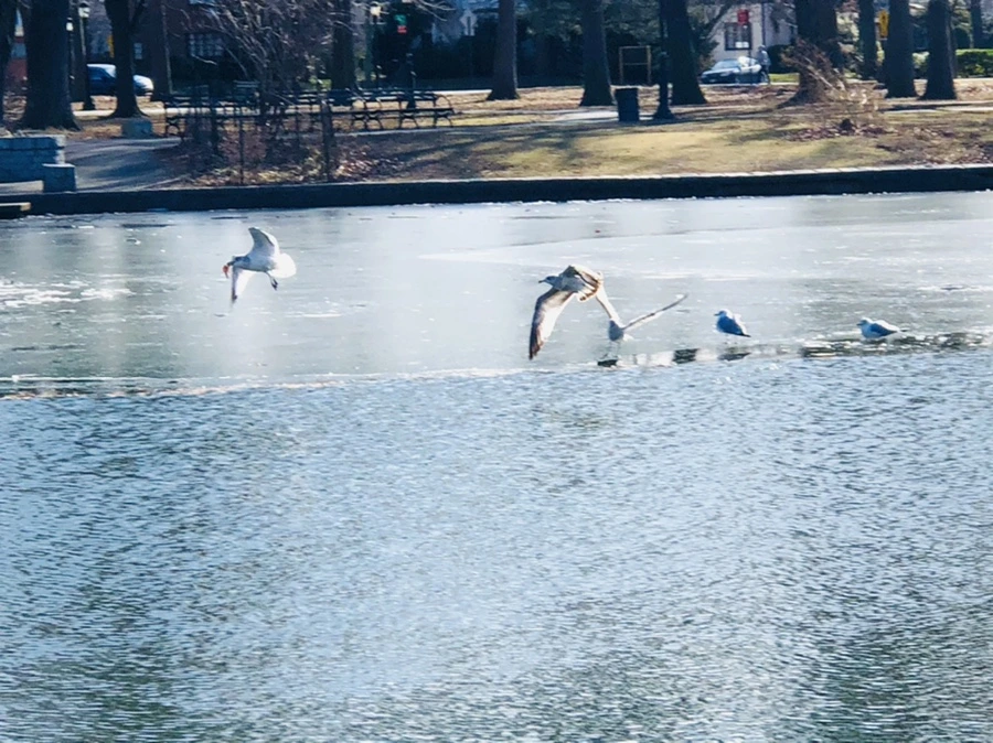 IMG_6718.jpg?type=w966