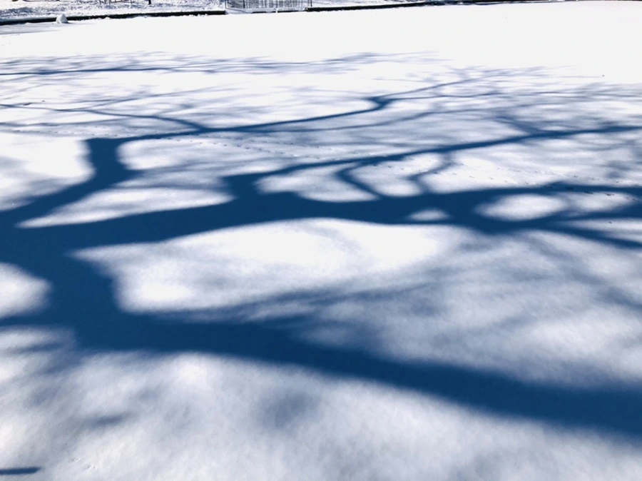 IMG_3941.jpg?type=w966