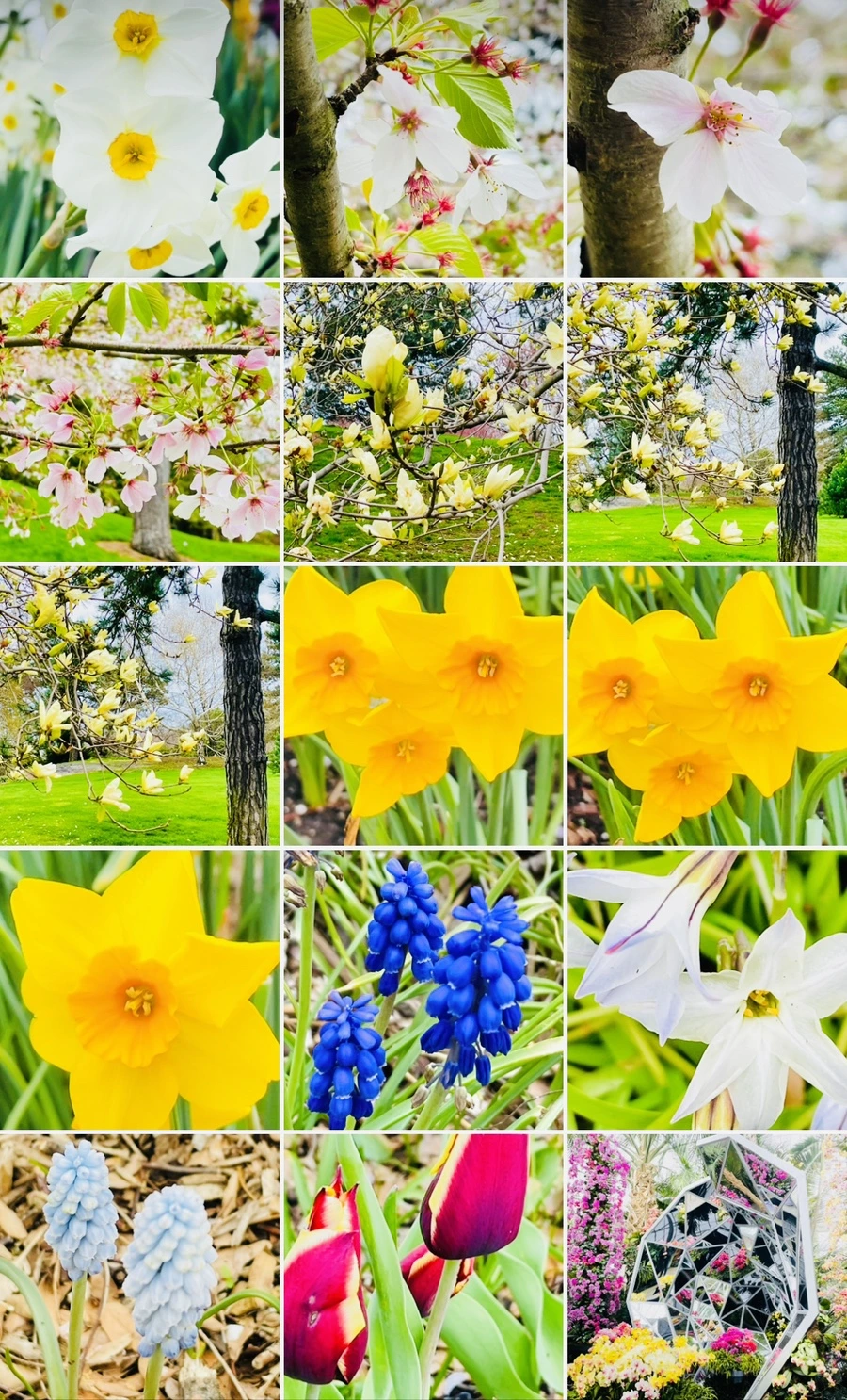 IMG_1437.jpg?type=w966