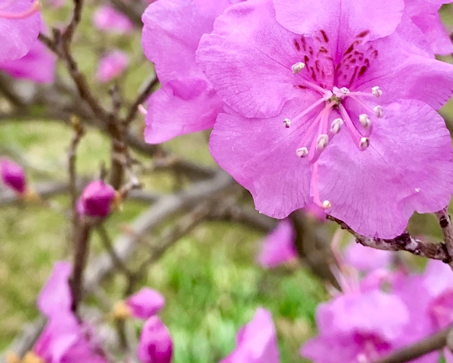 IMG_4679.jpg?type=w966