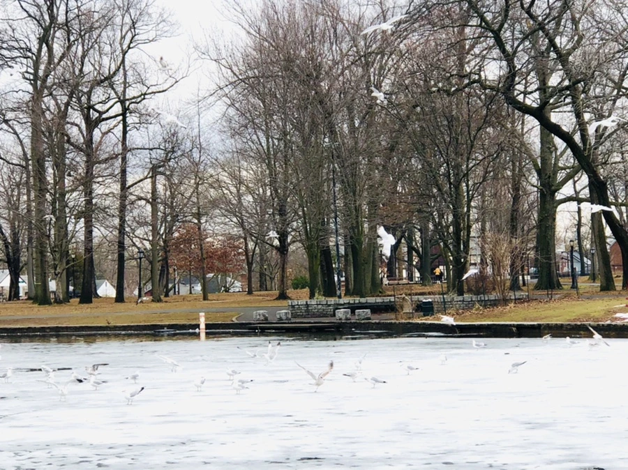 IMG_6482.jpg?type=w966