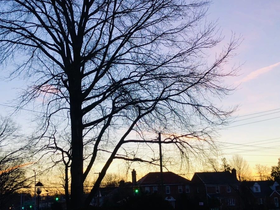 IMG_5603.jpg?type=w966