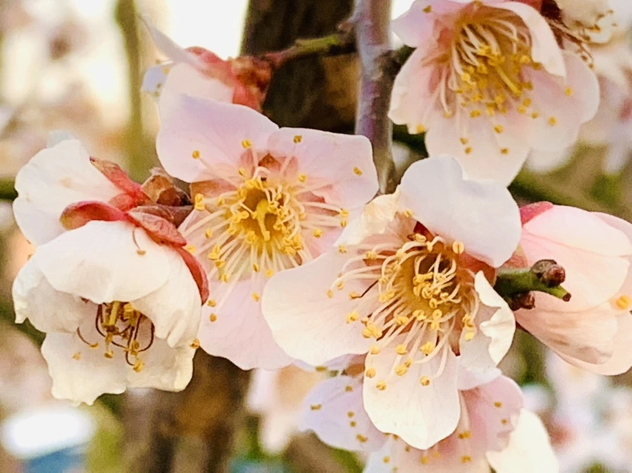 IMG_2851.jpg?type=w966