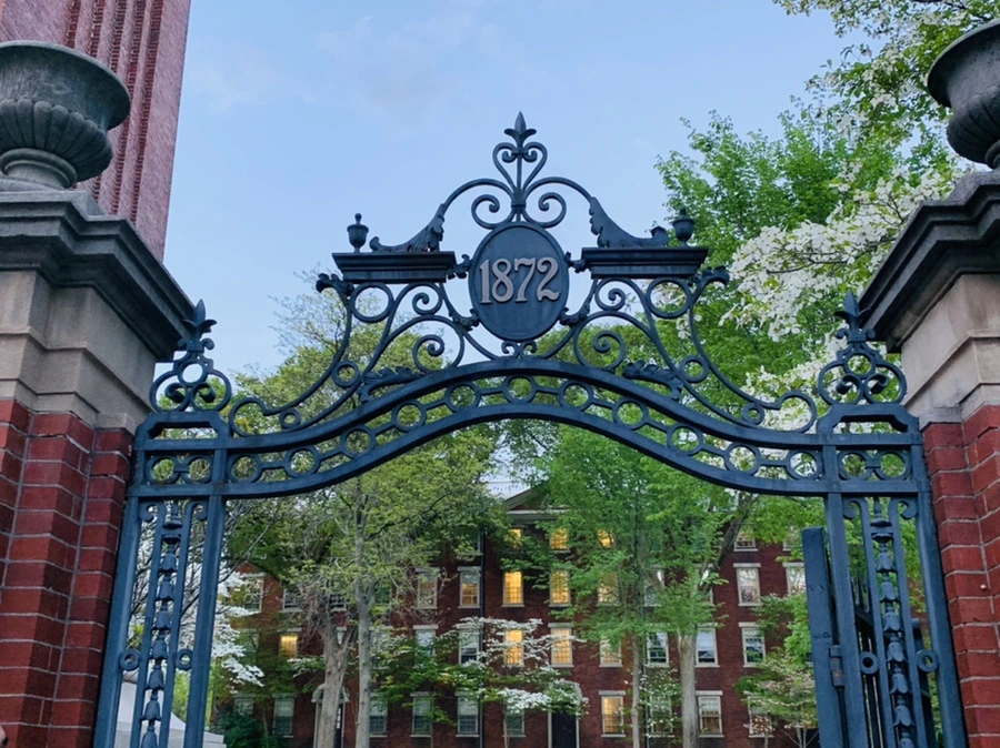 IMG_2548.jpg?type=w966