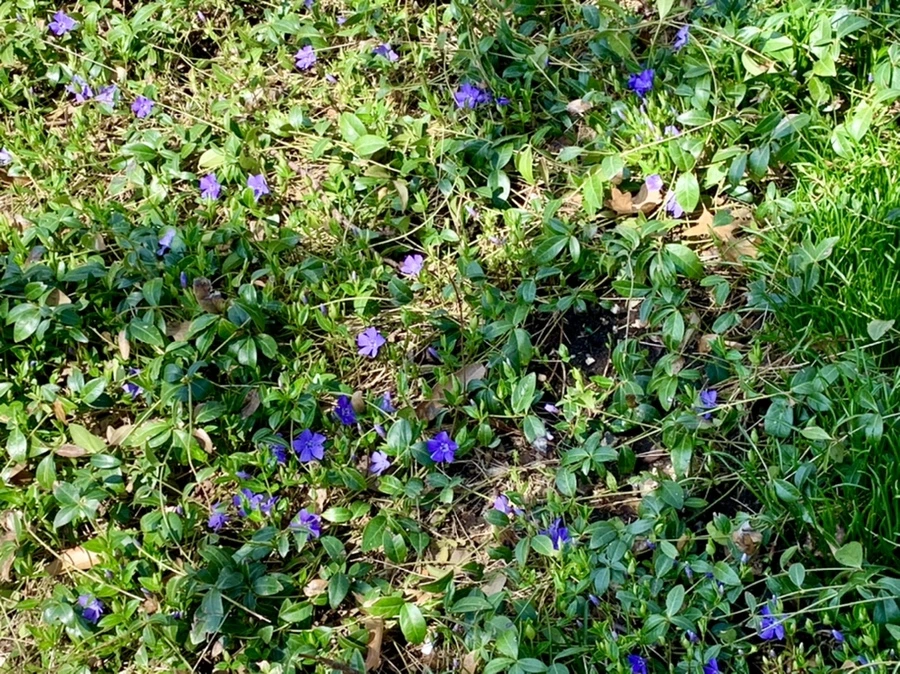 IMG_4320.jpg?type=w966