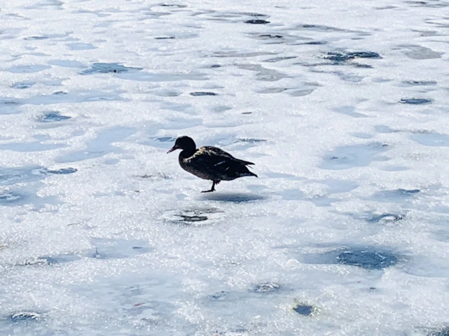 IMG_6877.jpg?type=w966