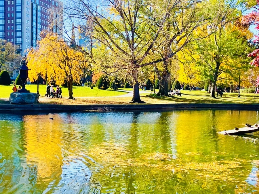 IMG_2545.jpg?type=w966