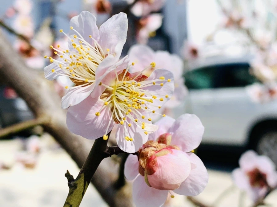 IMG_0982.jpg?type=w966