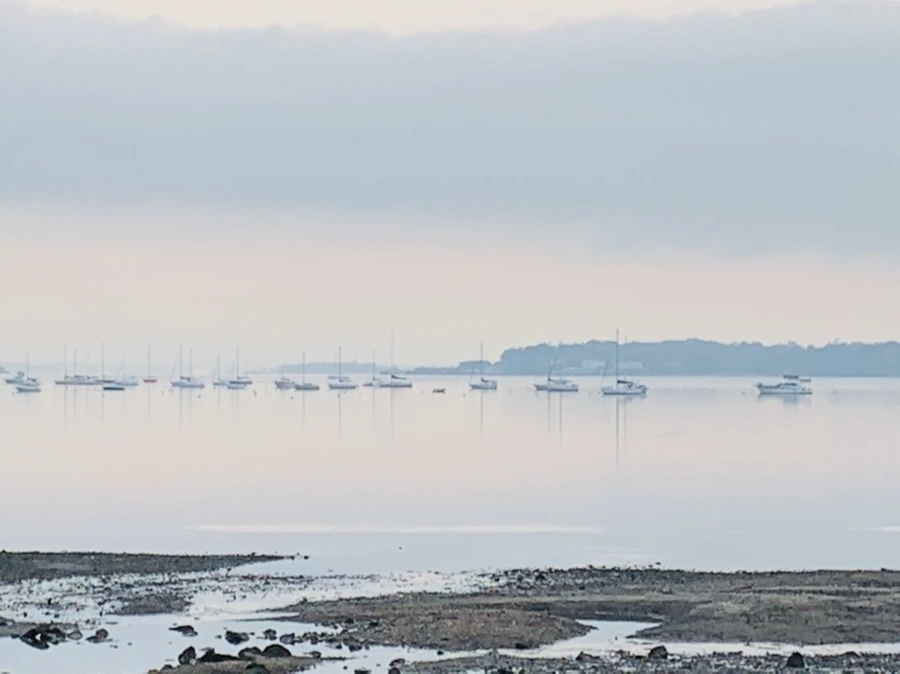 IMG_8220.jpg?type=w966