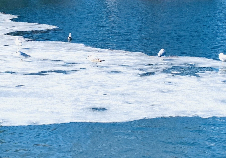 IMG_6769.jpg?type=w966