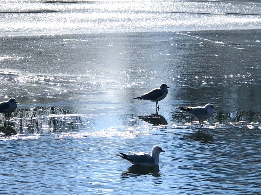 IMG_6865.jpg?type=w966