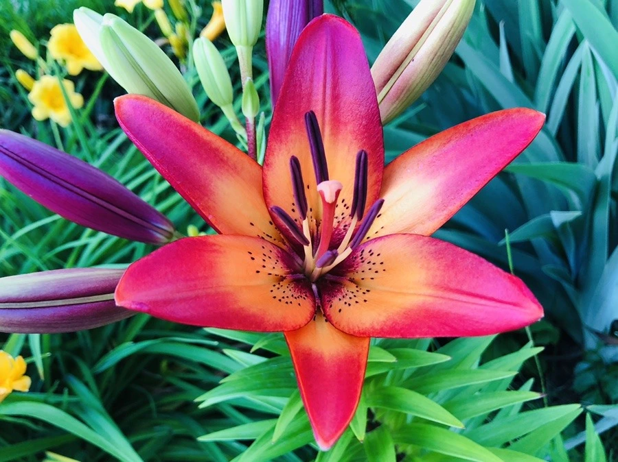 BmOHW4V-5II3sT_4QioupyCnCPM