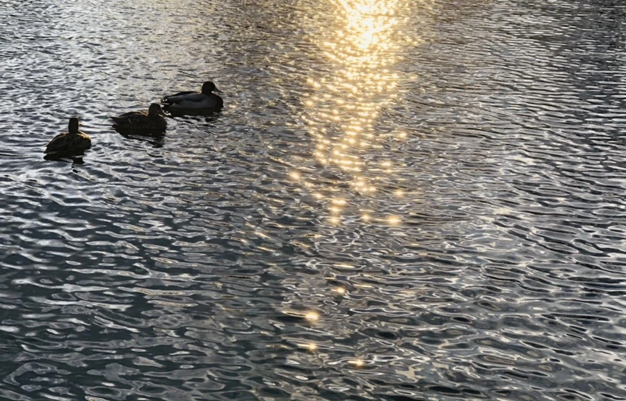 IqRIZc3fVpEclcdwro5sJlaoJ1c