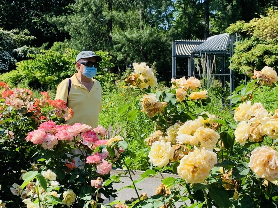 IMG_3155.jpg?type=w966