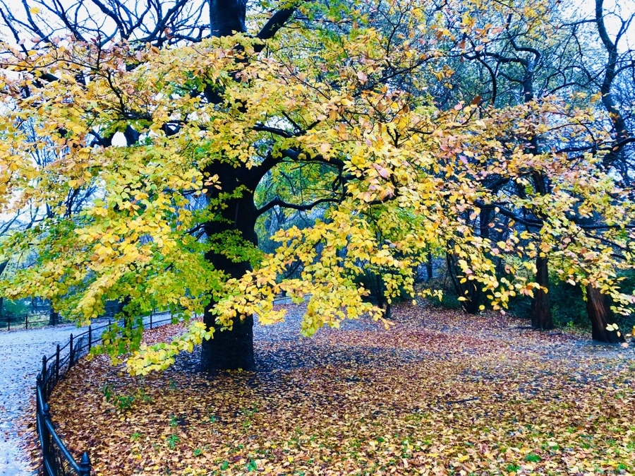 IMG_5714.jpg?type=w966