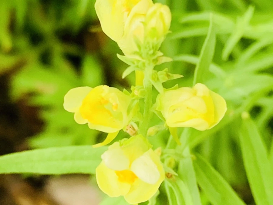 IMG_3767.jpg?type=w966