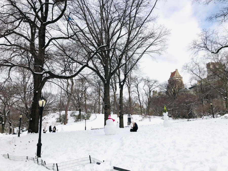 IMG_9140.jpg?type=w966