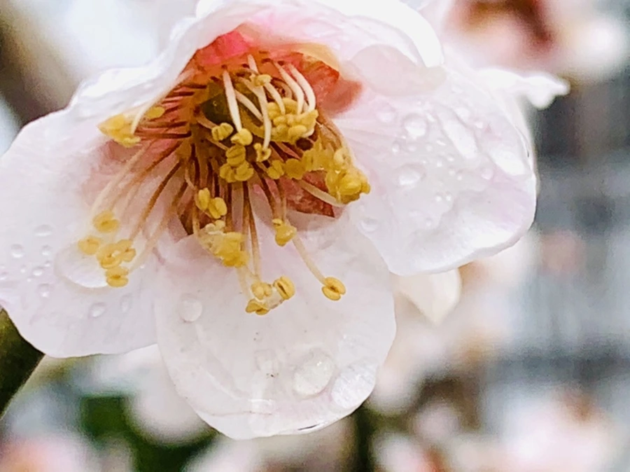 IMG_3961.jpg?type=w966