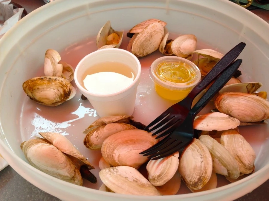 IMG_0721.JPG?type=w1