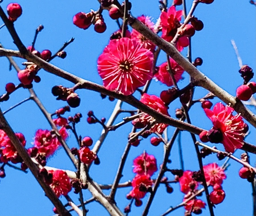 IMG_0670.jpg?type=w966