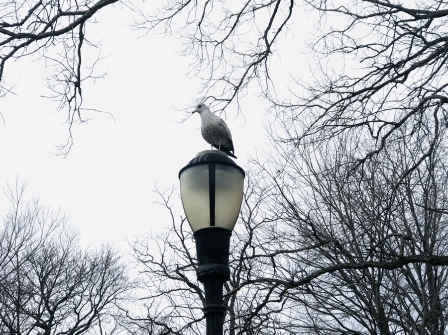 IMG_5967.jpg?type=w966