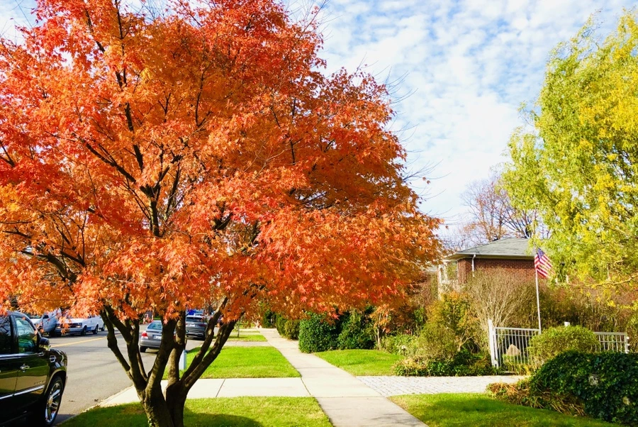 IMG_5356.jpg?type=w966