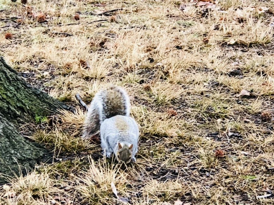 IMG_9552.jpg?type=w966