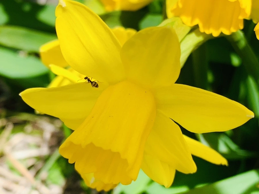 IMG_3391.jpg?type=w966