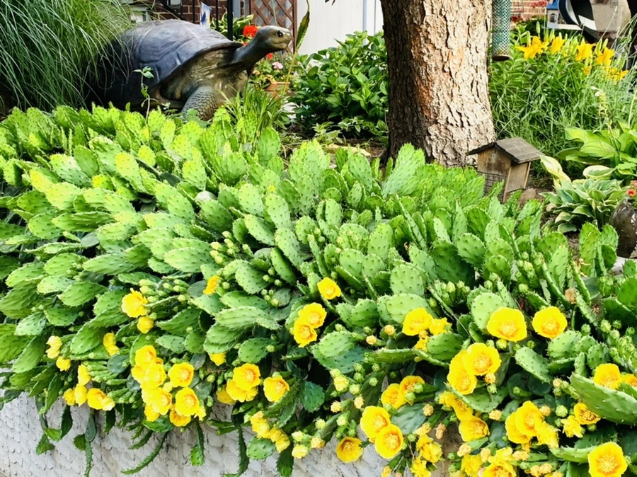 IMG_2683.jpg?type=w966