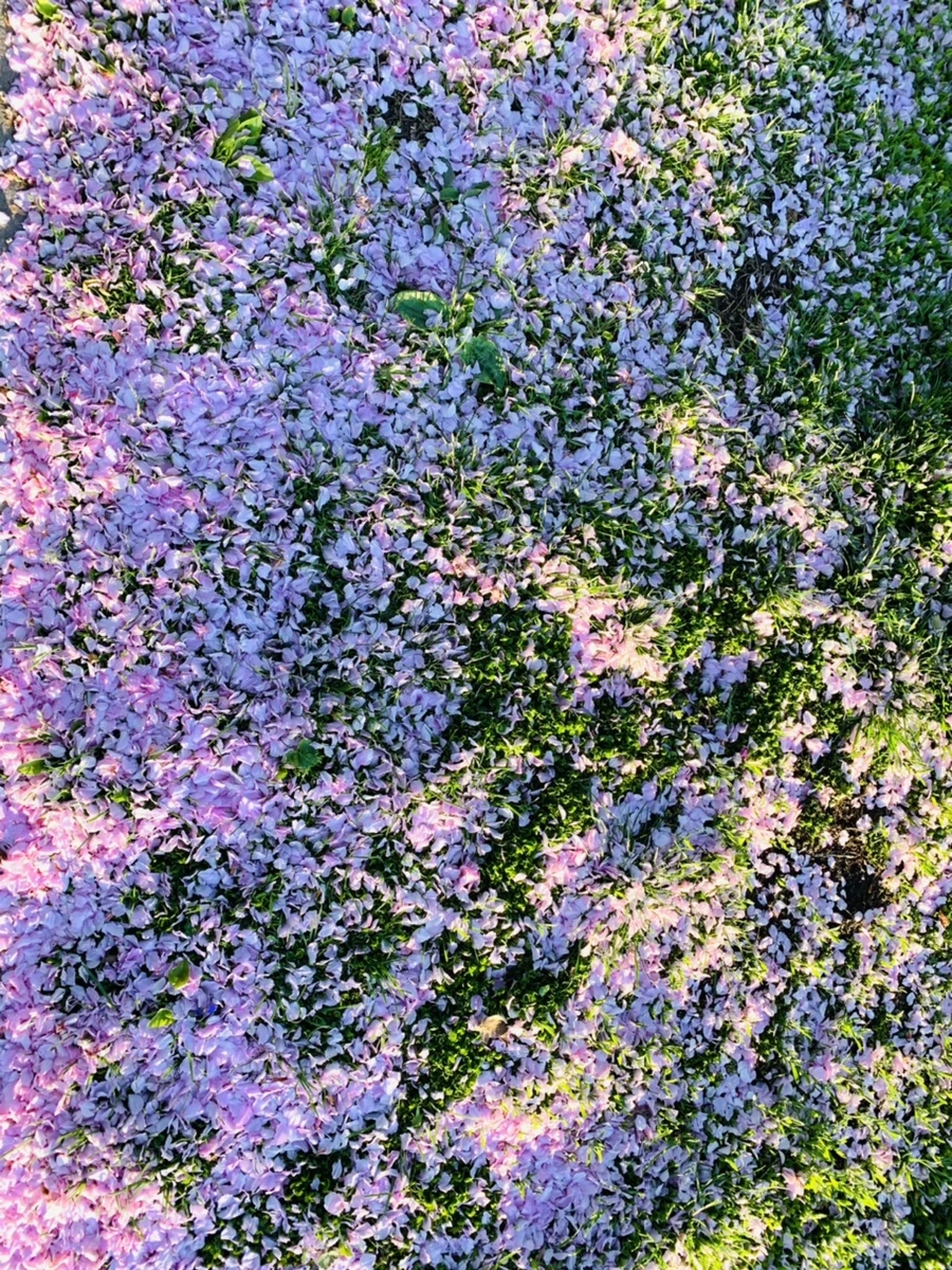 IMG_5506.jpg?type=w966