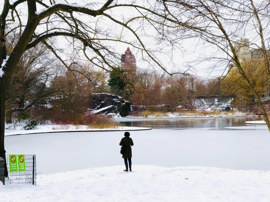 IMG_7291.jpg?type=w966