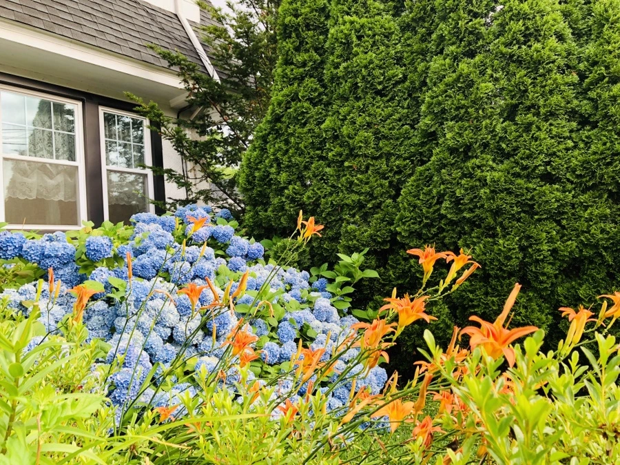 IMG_1388.jpg?type=w966