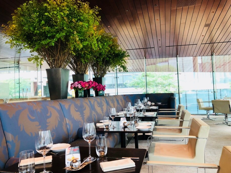 IMG_0452.jpg?type=w966