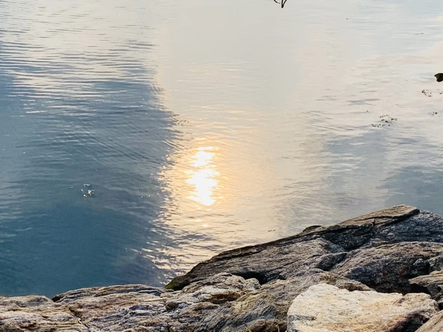 IMG_1599.jpg?type=w966