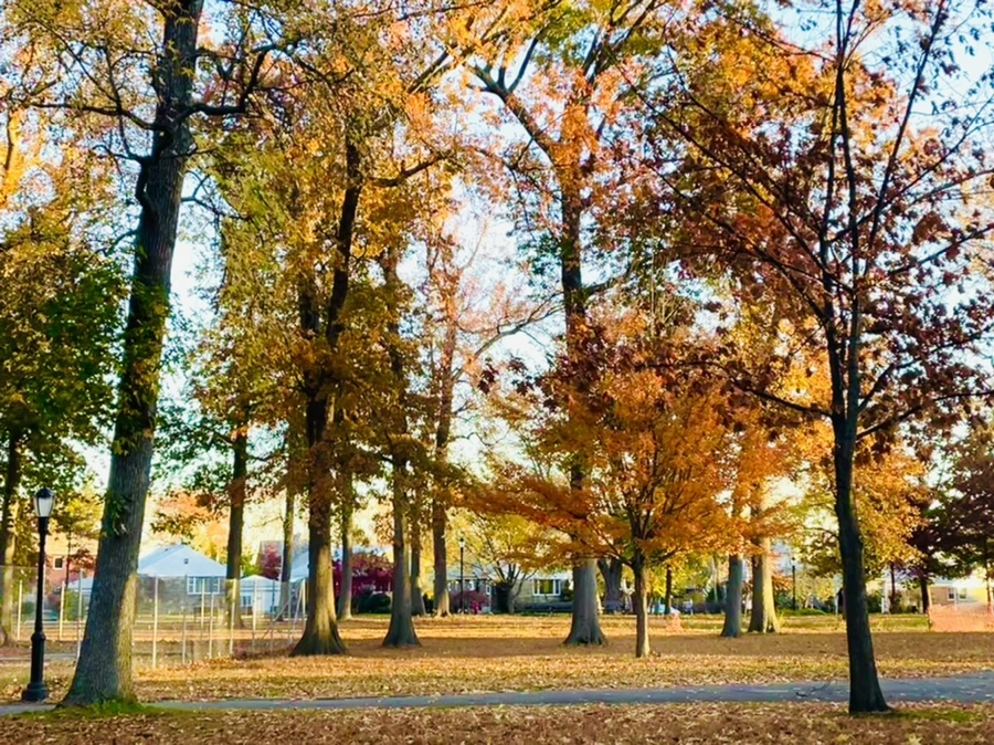 IMG_4089.jpg?type=w966