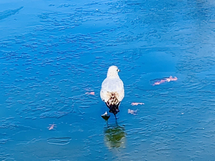 IMG_8325.jpg?type=w966