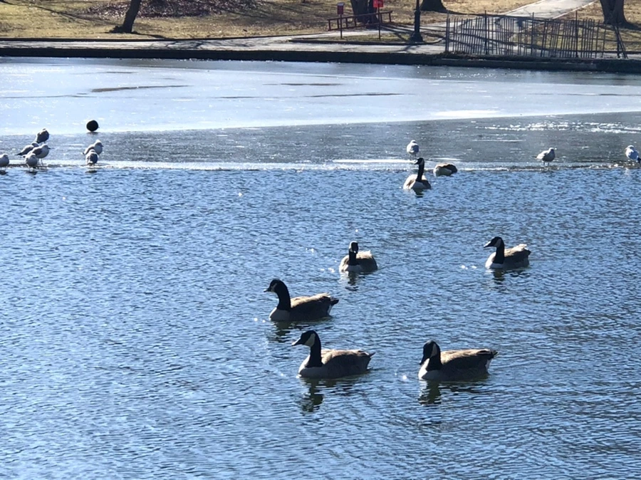 IMG_6727.jpg?type=w966