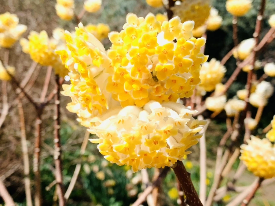 IMG_5798.jpg?type=w966