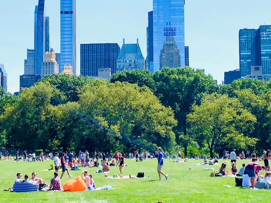 IMG_4396.jpg?type=w966