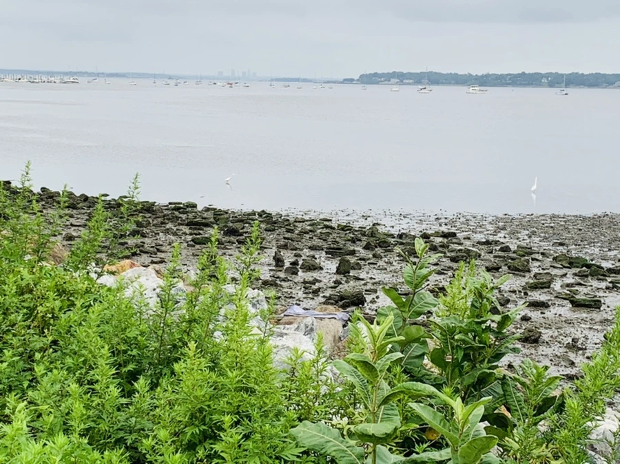 IMG_3706.jpg?type=w966