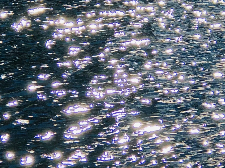 IMG_9198.jpg?type=w966