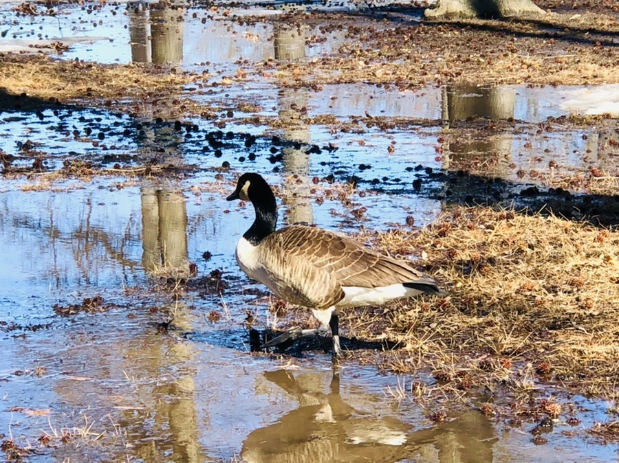 IMG_4653.jpg?type=w966