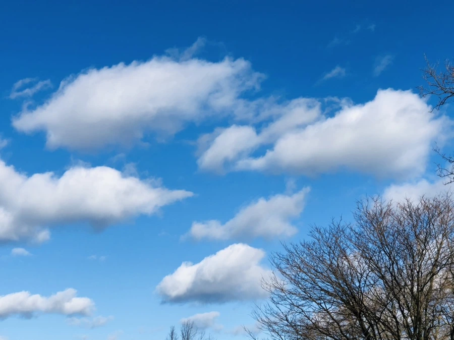 IMG_9220.jpg?type=w966