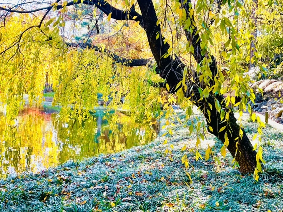 IMG_2103.jpg?type=w966