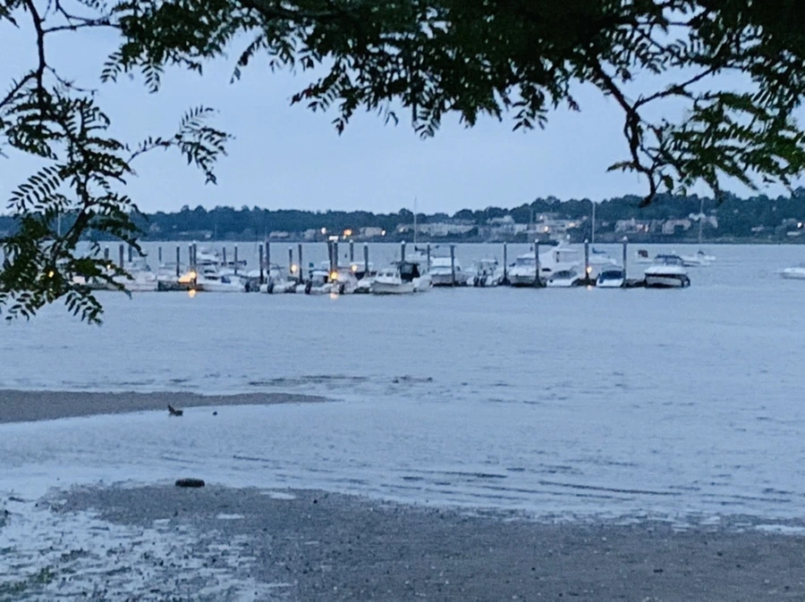 IMG_6695.jpg?type=w966